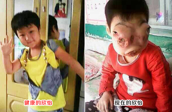 父辈残杀貉子和貂, 8岁女儿惨遭报应; 29岁女子邪婬不孝果报惨烈 (近期果报三则) 多图, 大力推荐 - 阳光师姐 - 阳光师姐的清净之疆网易博客,欢迎来访!