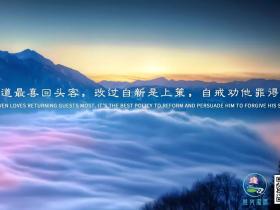 已经不敢再撸了,没有那个精力了