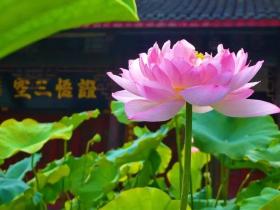 好色纵欲邪婬必定殃及父母祖先和子孙后代!
