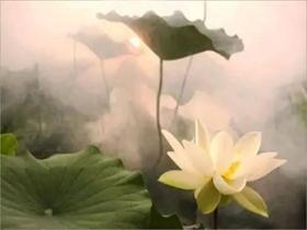 80后因为邪婬患上抑郁症和心脏病
