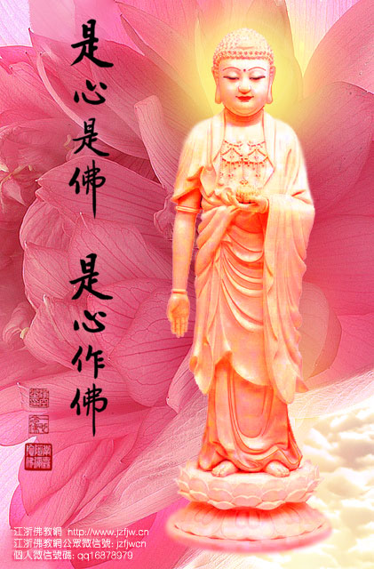 为什么念“南无阿弥陀佛”？