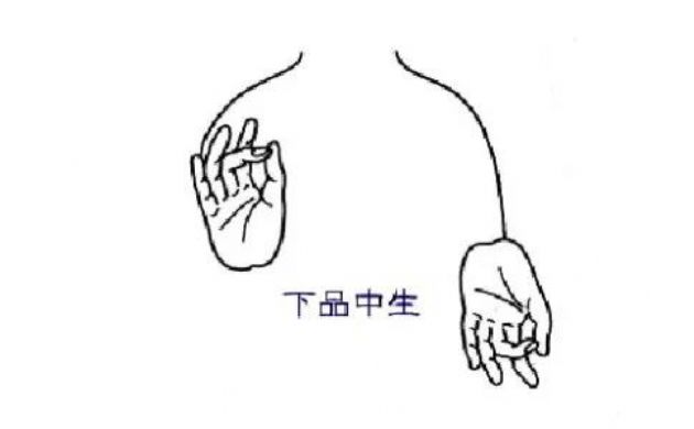 阿弥陀佛的手印有哪些？阿弥陀佛手印图解