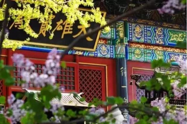 如何上香才能感应诸佛？