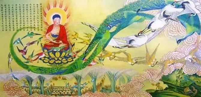 《佛说阿弥陀经》精美图解！过目增福无量！