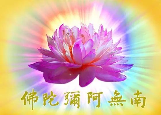 念阿弥陀佛助力中高考 念阿弥陀佛助力中高考